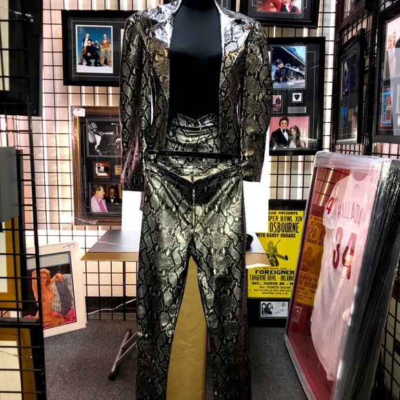 3 Piece Snakeskin Print Stage Wear Set by Pleasure Addict - Jacket, Skirt, Pants - Picture 5 of 15